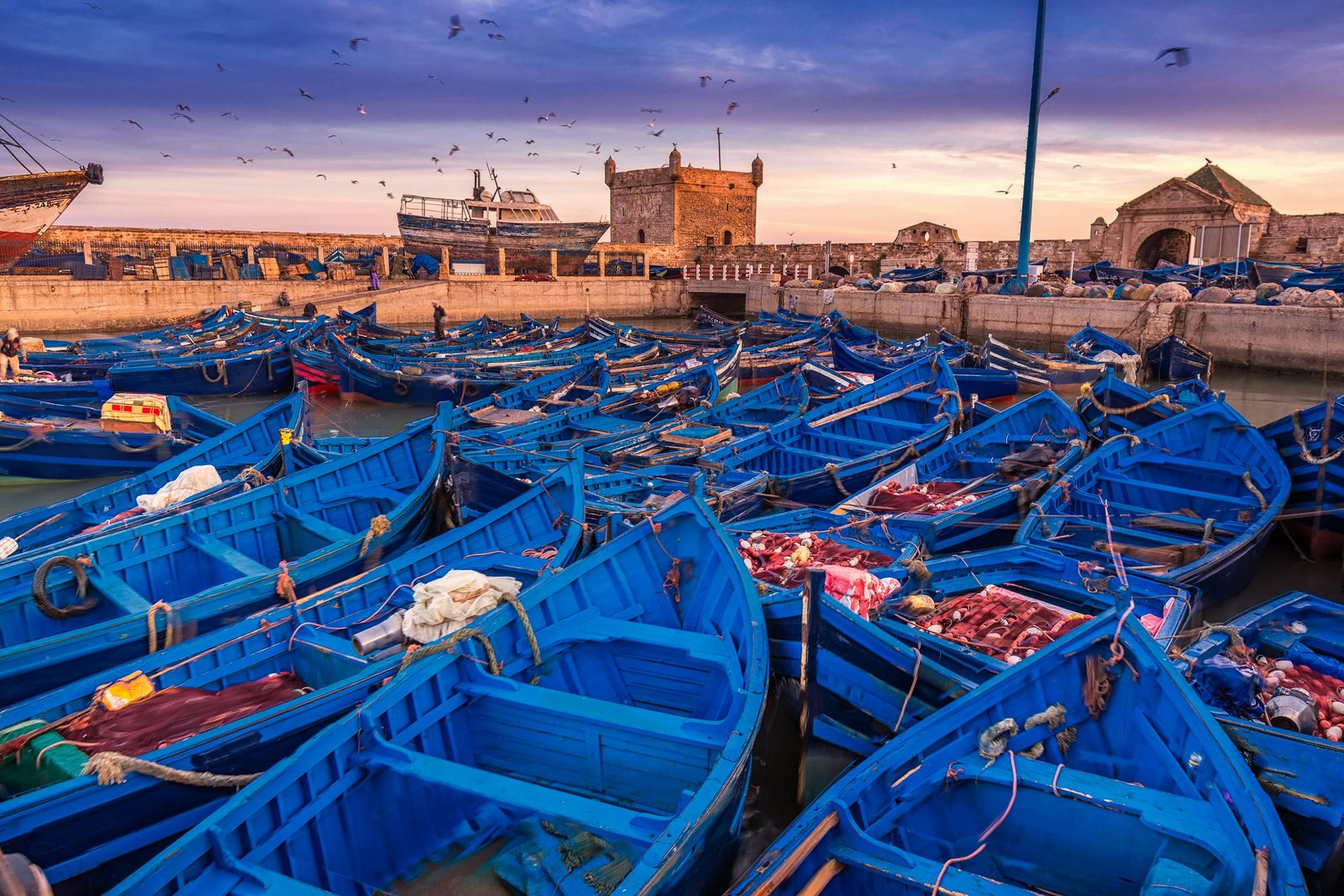 Essaouira Day Trip